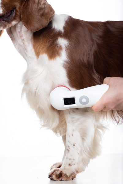 Utilisation PRO chien
